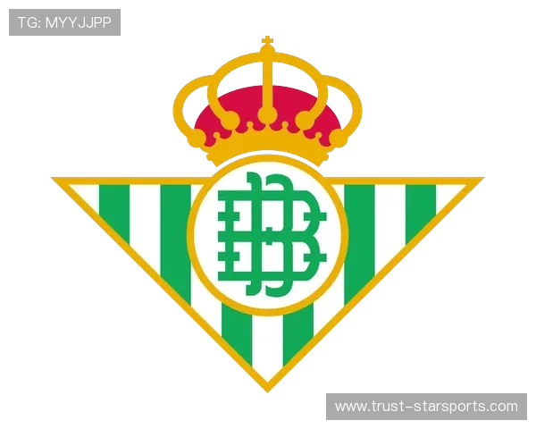 西班牙足球甲级联赛深度解析：历史辉煌与未来发展趋势探讨